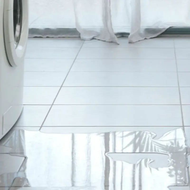 Appliance Leak Cleanup in Greenwood, MO