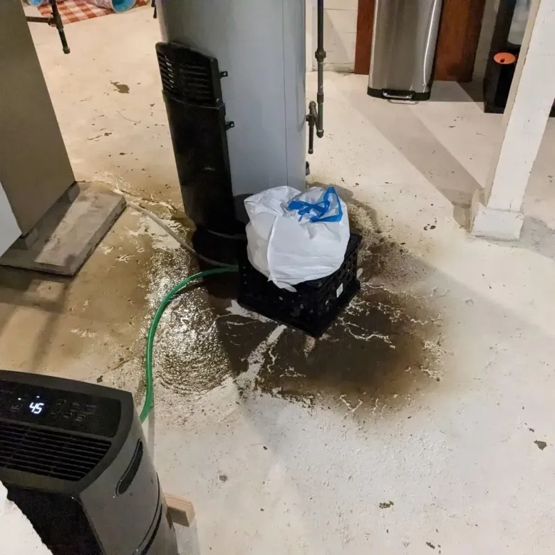 Sewage Backup Cleanup Service in Greenwood, MO